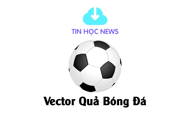Vector quả bóng đá